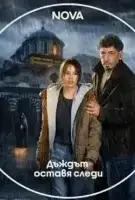 Следы дождя